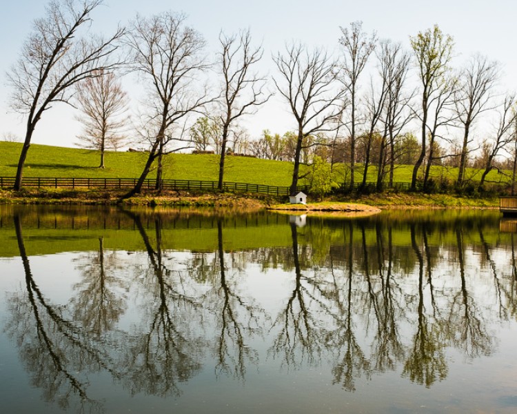 April 14, 2016.  Weaver Works:  Jimbo Tucker pond