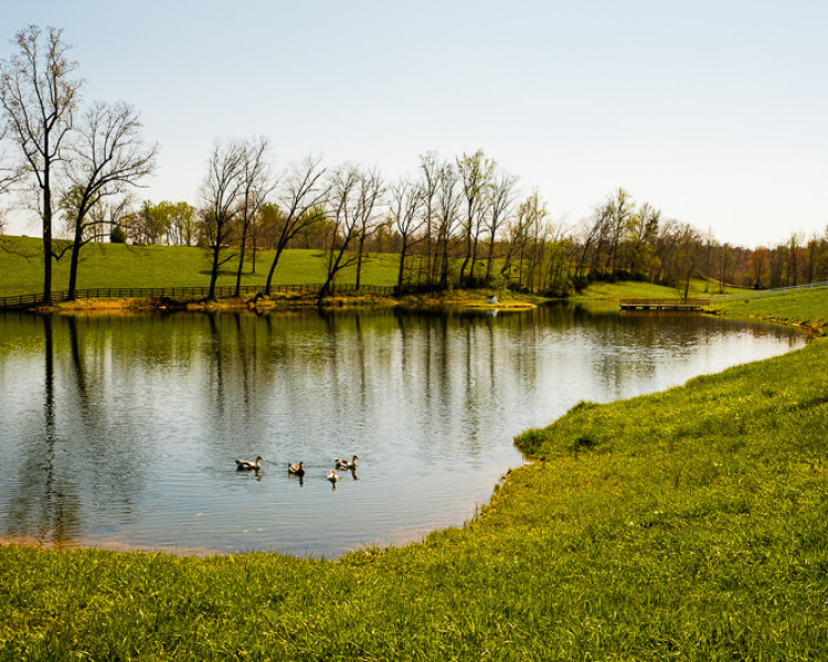 April 14, 2016. Weaver Works: Jimbo Tucker pond April 14, 2016. Weaver Works: Jimbo Tucker pond