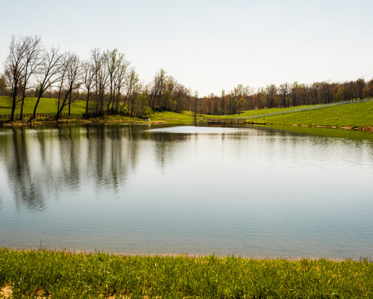 April 14, 2016. Weaver Works: Jimbo Tucker pond April 14, 2016. Weaver Works: Jimbo Tucker pond