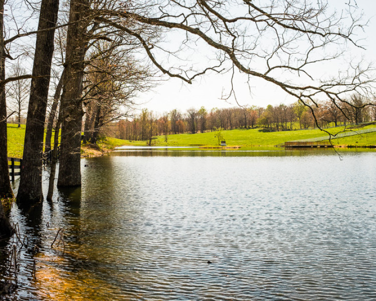 April 14, 2016. Weaver Works: Jimbo Tucker pond April 14, 2016. Weaver Works: Jimbo Tucker pond