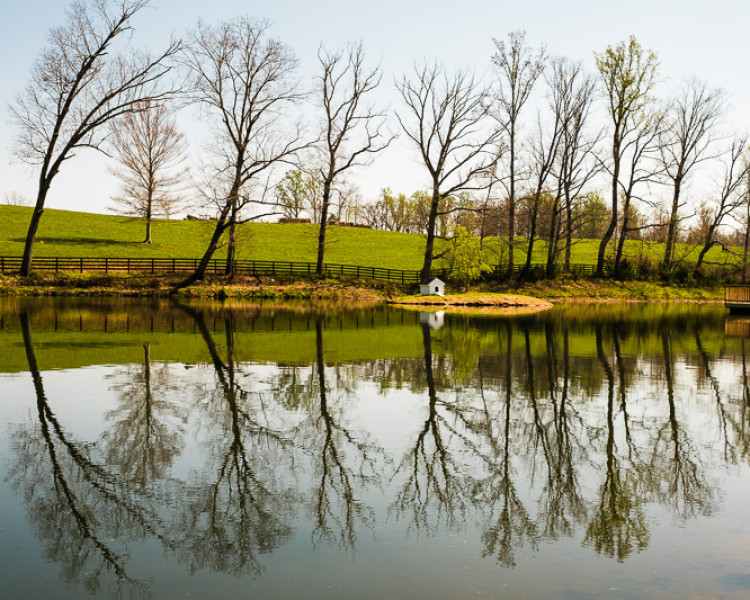 April 14, 2016. Weaver Works: Jimbo Tucker pond April 14, 2016. Weaver Works: Jimbo Tucker pond