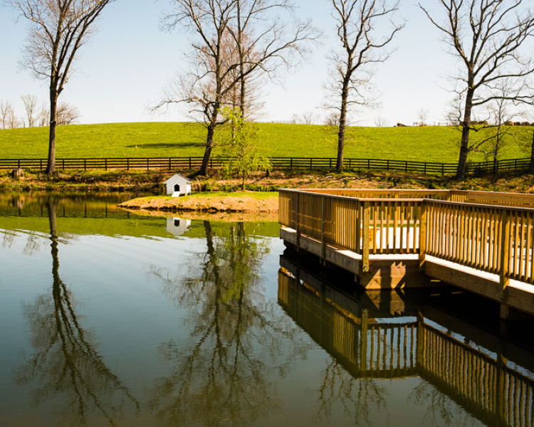 April 14, 2016. Weaver Works: Jimbo Tucker pond April 14, 2016. Weaver Works: Jimbo Tucker pond