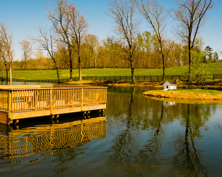 April 14, 2016. Weaver Works: Jimbo Tucker pond April 14, 2016. Weaver Works: Jimbo Tucker pond