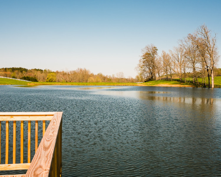 April 14, 2016. Weaver Works: Jimbo Tucker pond April 14, 2016. Weaver Works: Jimbo Tucker pond
