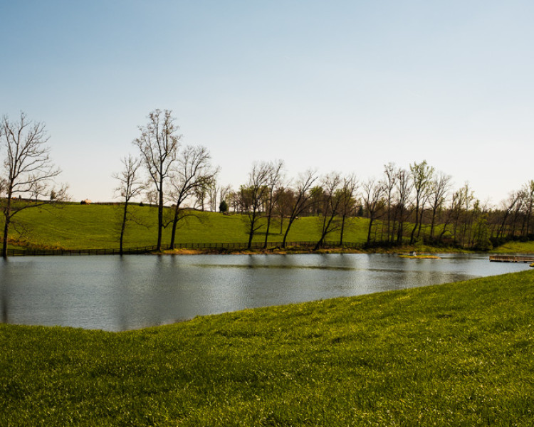 April 14, 2016. Weaver Works: Jimbo Tucker pond April 14, 2016. Weaver Works: Jimbo Tucker pond